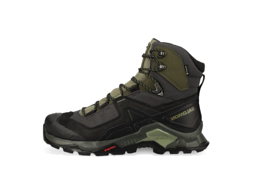 Tenisice i cipele Salomon Quest Element GTX Zelena | L41457100
