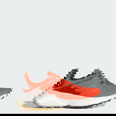 Tenisice i cipele adidas Performance adidas TERREX Crvena | IE8455, 1