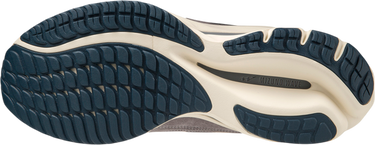 Tenisice i cipele Mizuno Wave Rider Siva | D1GA3309-07, 1