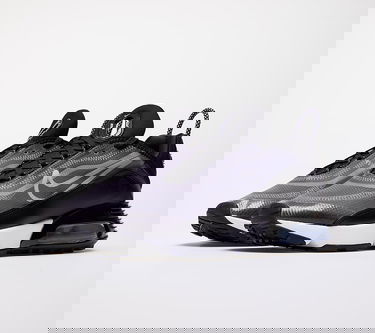 Tenisice i cipele Nike W Air Max 2090 Crna | CK2612-002, 4