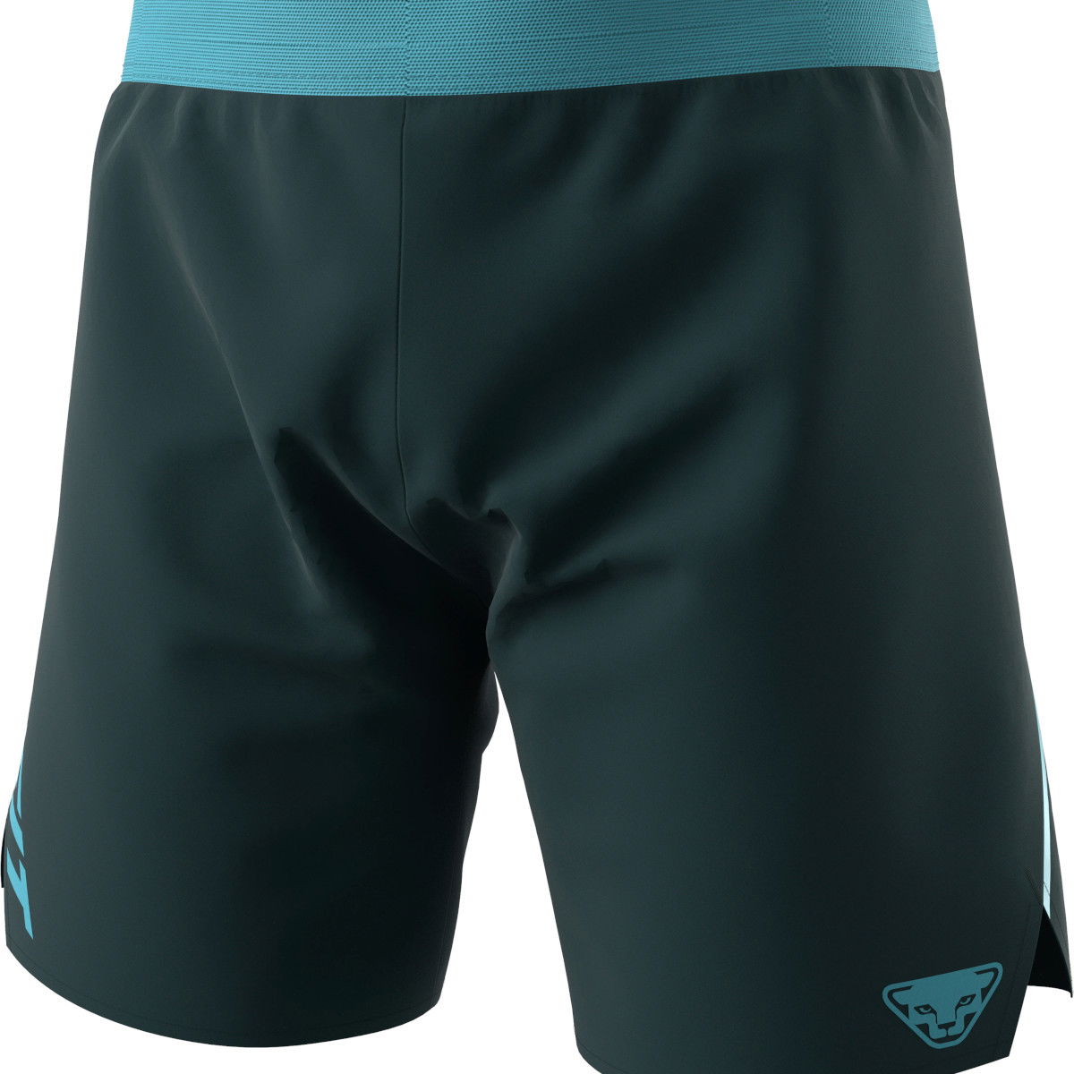 Kratke hlače Dynafit ALPINE SHORTS Running Shorts Zelena | 08-0000071645-3011, 0