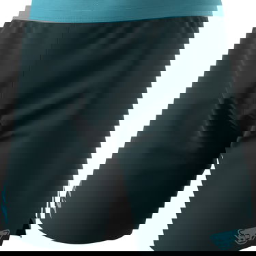 Kratke hlače Dynafit ALPINE SHORTS Running Shorts Zelena | 08-0000071645-3011, 0