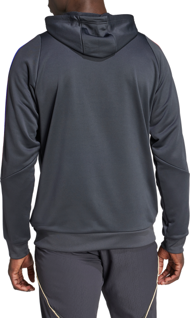 Dukserice adidas Originals Olympique Lyonnais TR Hoody Siva | jl9490, 2