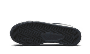 Tenisice i cipele Nike Terminator Low "Georgetown" Siva | FN6830-001, 1