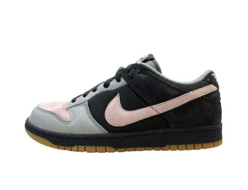 Tenisice i cipele Nike Dunk Low CL Anthracite/Champagne-Medium Grey Crna | 304714-064