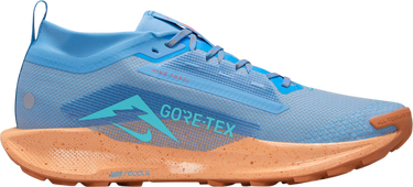 Tenisice i cipele Nike Pegasus Trail 5 GORE-TEX Plava | fq0908-400, 2
