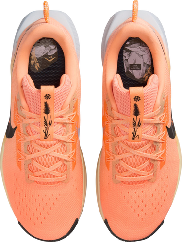 Tenisice i cipele Nike Pegasus Trail 5 Narančasta | dv3865-800, 2