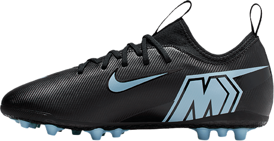 Tenisice i cipele Nike ZOOM VAPOR 16 ACADEMY AG Crna | fq8403-001, 1