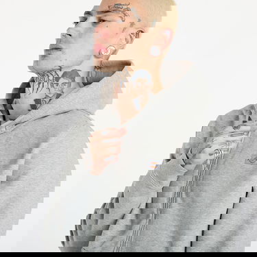 Dukserice Dickies Oakport Zip Hoodie Siva | DK0A4XD3HG01, 1