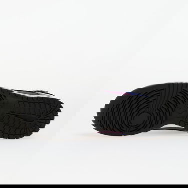 Tenisice i cipele Nike Dunk Low Retro SE Viotech Ljubičasta | IB6400-400, 1