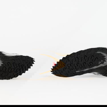 Tenisice i cipele Salomon XA PRO 3D Bež | L47884800, 1