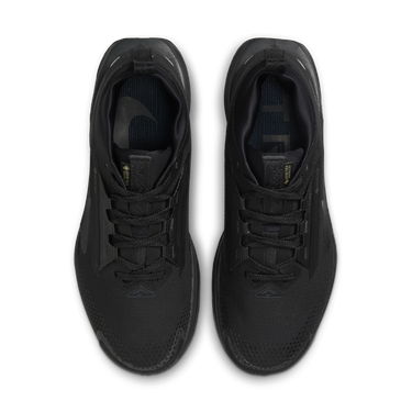 Tenisice i cipele Nike Pegasus Trail 5 GORE-TEX Crna | FQ0912-002, 3
