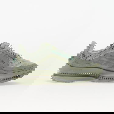 Tenisice i cipele Nike Pegasus Premium Zelena | HQ2592-300, 2