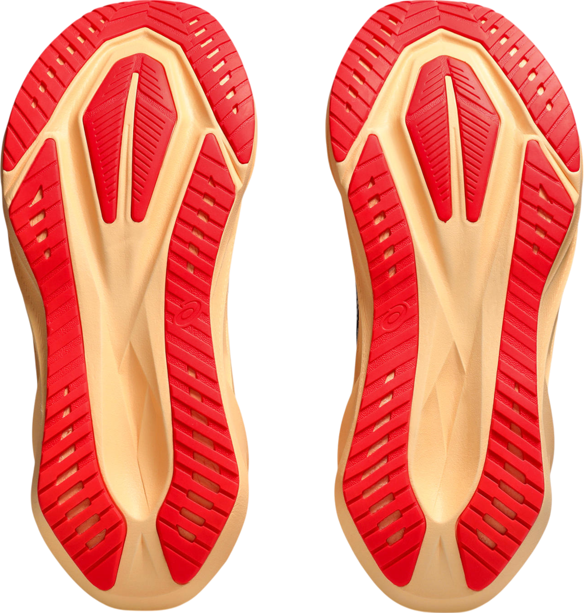 Tenisice i cipele Asics NOVABLAST 5 Crna | 1011b974-404, 1