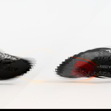 Tenisice i cipele adidas Performance adidas TERREX Terrex Agravic Speed Trail Running Crna | IG8017, 2