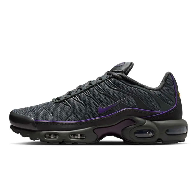 Tenisice i cipele Nike TN Air Max Plus "Iron Grey" Crna | HV8066-001
