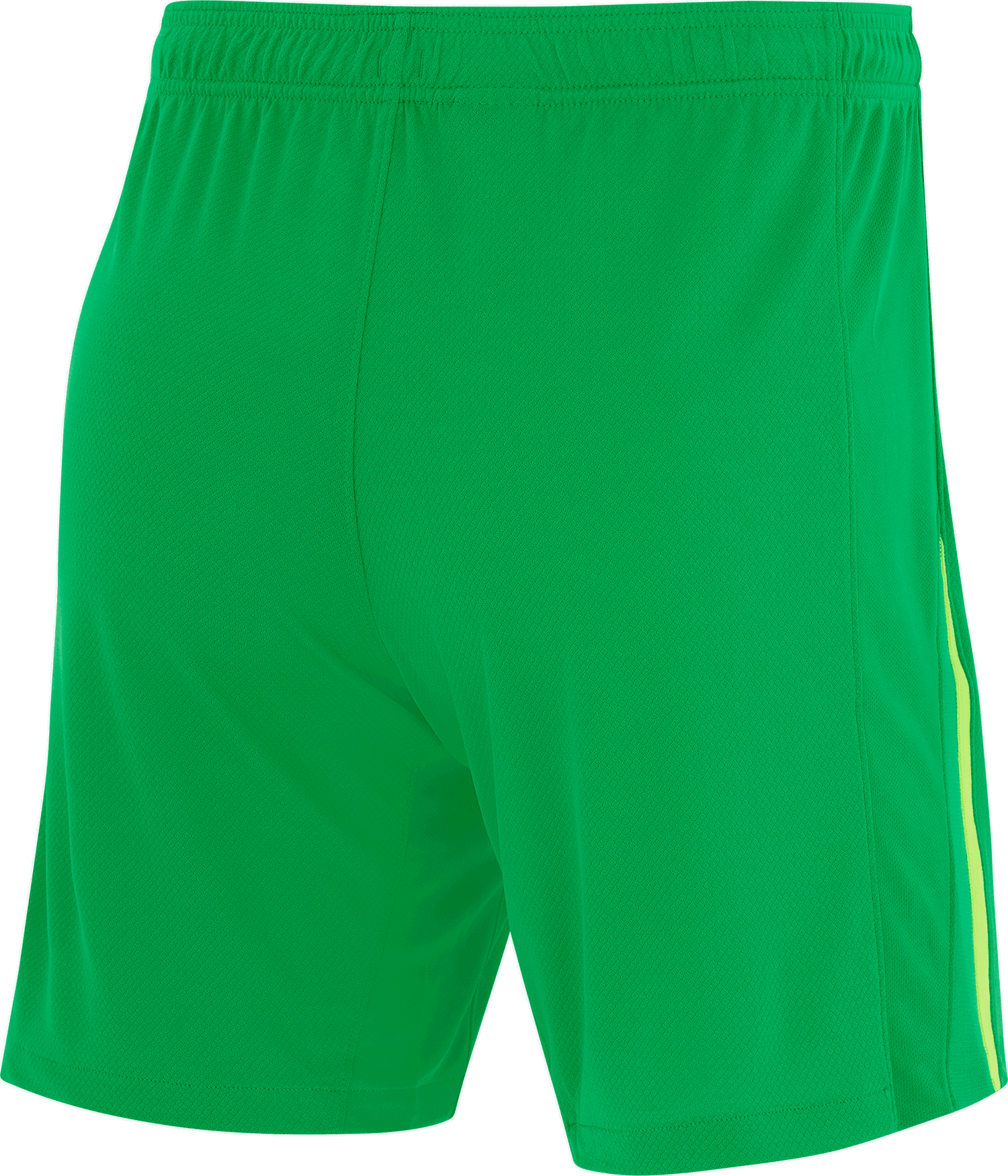 Kratke hlače Nike Green Training Shorts 2024/25 Zelena | fz2821-310, 1