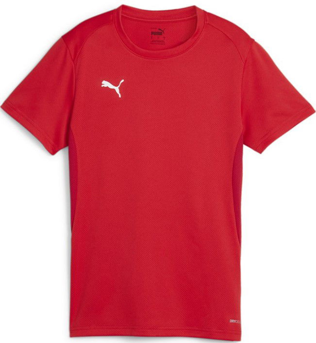 Dres Puma teamGOAL Jersey W Crvena | 658638-01