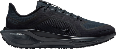 Tenisice i cipele Nike Pegasus 41 GORE-TEX Crna | fq1357-001, 0