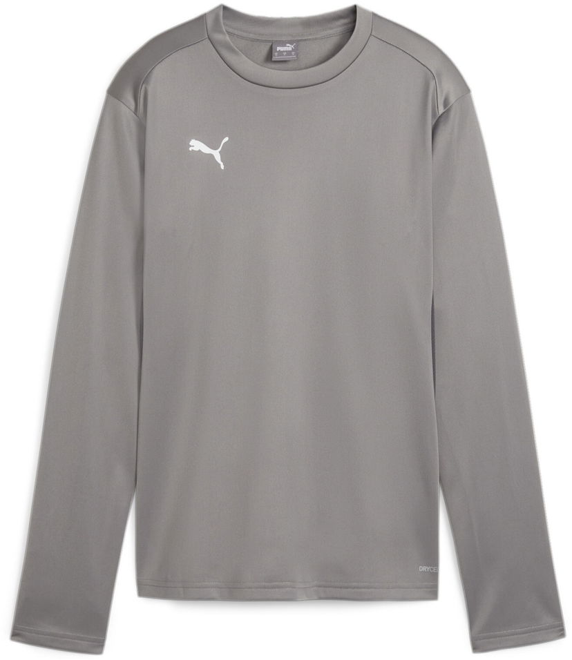 Dukserice Puma teamGOAL Training Sweatshirt Siva | 658652-13
