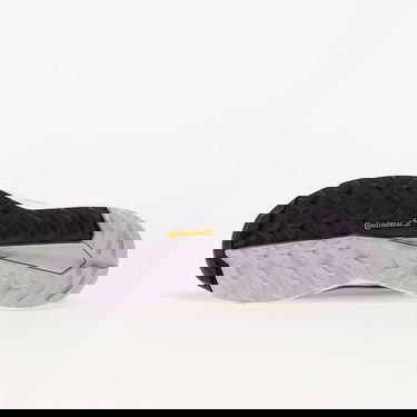 Tenisice i cipele adidas Performance Terrex Free Hiker 2 Low Gtx W Prlofi/ Silver Dawn/ Aurbla Ljubičasta | IH3540, 1