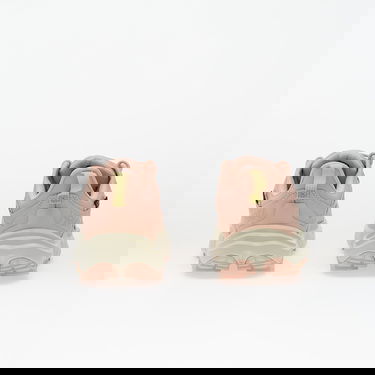 Tenisice i cipele Hoka One One Anacapa 2 Low Gtx Ružičasta | 1142830F-RTTT, 4