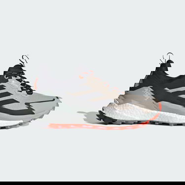 Tenisice i cipele adidas Performance Terrex Free Hiker 2.0 Low GORE-TEX Bež | IG5459, 0