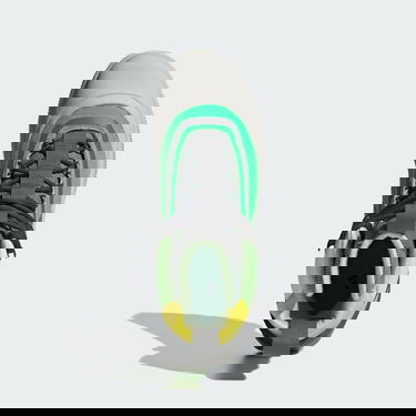 Tenisice i cipele adidas Performance Stella McCartney x Terrex Hiking Višebojno | IF6070, 2