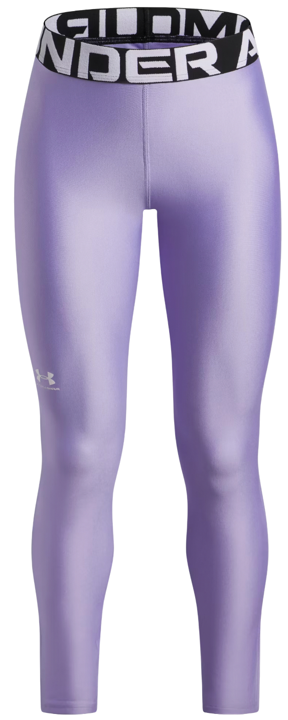 Tajice Under Armour HG Performance Legging Ljubičasta | 1390069-538