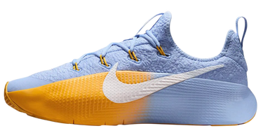 Tenisice i cipele Nike LeBron TR 1 'Aluminium University Gold' Višebojno | FJ6151-401, 1