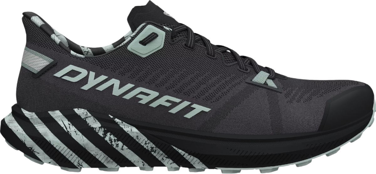 Tenisice i cipele Dynafit Dynafit Trail Graphic Siva | 08-0000064114-0925, 0