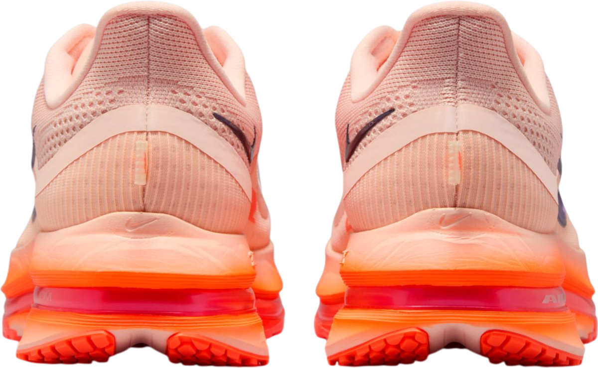 Tenisice i cipele Nike Pegasus Premium Ružičasta | ii6308-600, 1