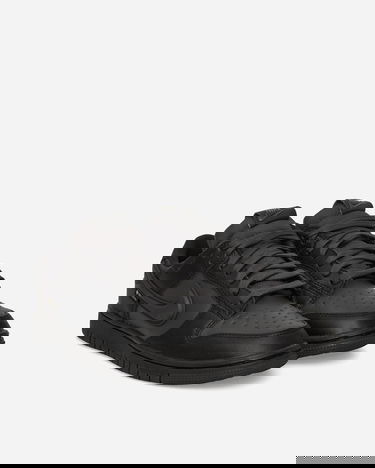 Tenisice i cipele Nike Dunk Low GORE-TEX Crna | HQ2053-001, 2