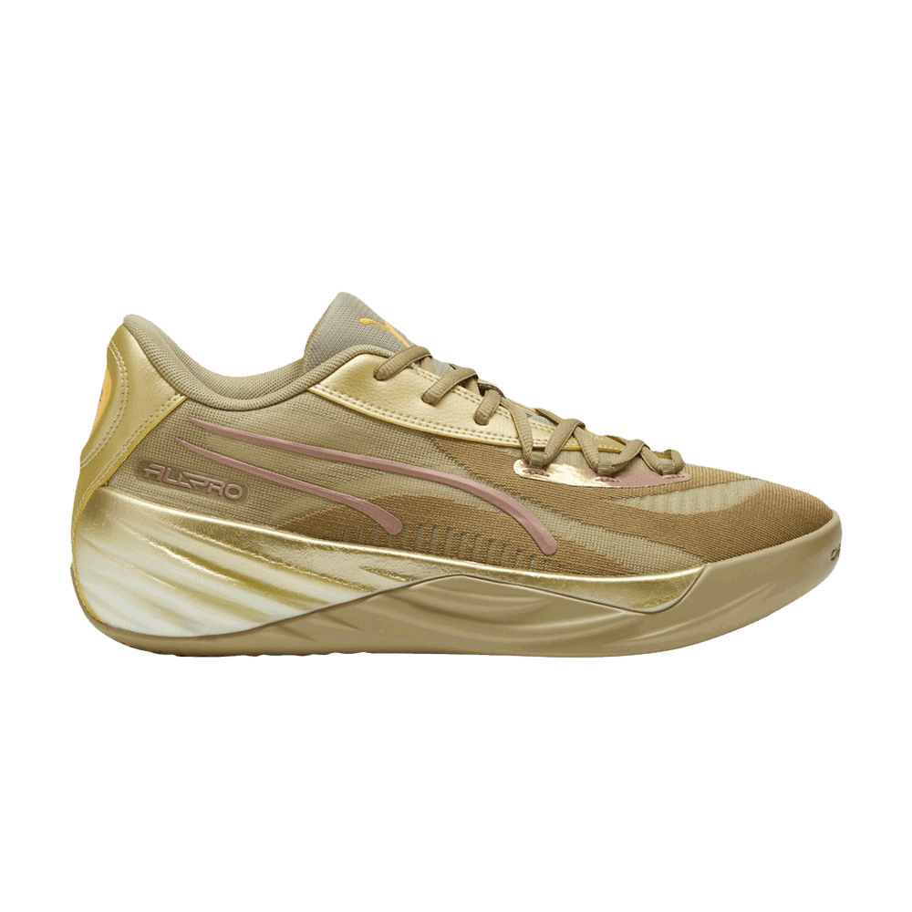 Tenisice i cipele Puma All-Pro Nitro Smeđa | 379967-01, 0