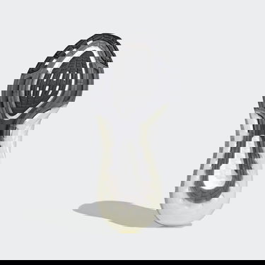 Tenisice i cipele adidas Performance UltraBoost 21 Siva | FY0381, 2