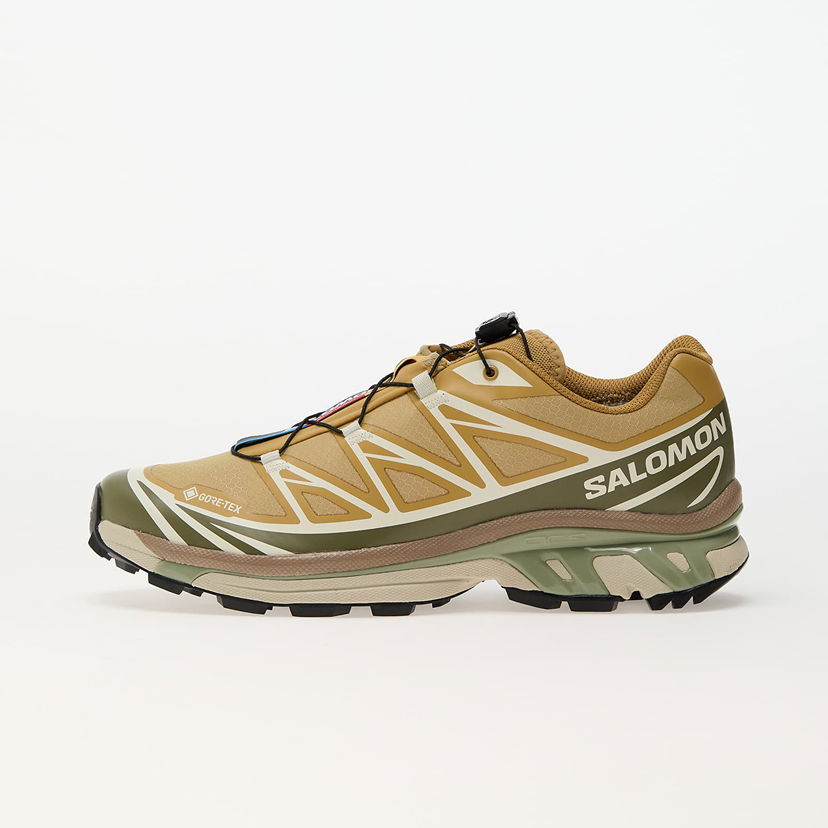 Tenisice i cipele Salomon XT-6 GTX Bež | L47581000