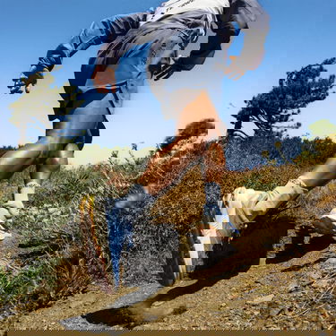 Tenisice i cipele adidas Performance TERREX SOULSTRIDE FLOW Plava | hp5565, 5