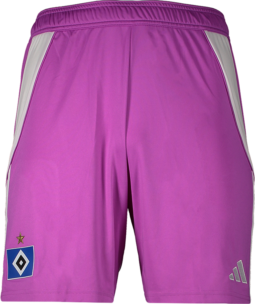 Kratke hlače adidas Originals Hamburger SV Goalkeeper Shorts 2025/26 Ljubičasta | 6hsvji6089