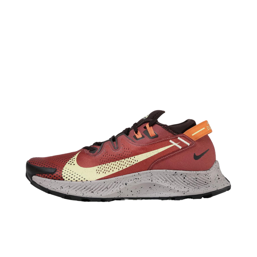 Trčanje Nike Pegasus Trail 2 Smeđa | CK4305 600