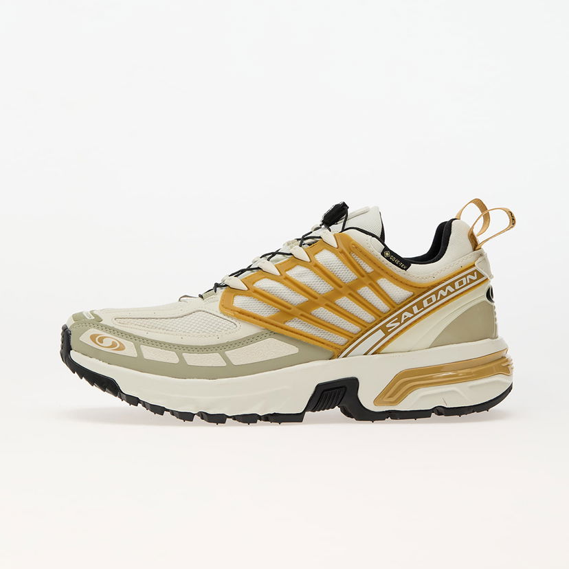 Tenisice i cipele Salomon ACS Pro GTX Icicle/ Antelope/ Tea Zelena | L47599800
