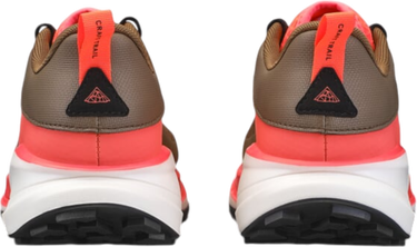 Tenisice i cipele Craft PURE TRAIL X W Smeđa | 1915203-685825, 2