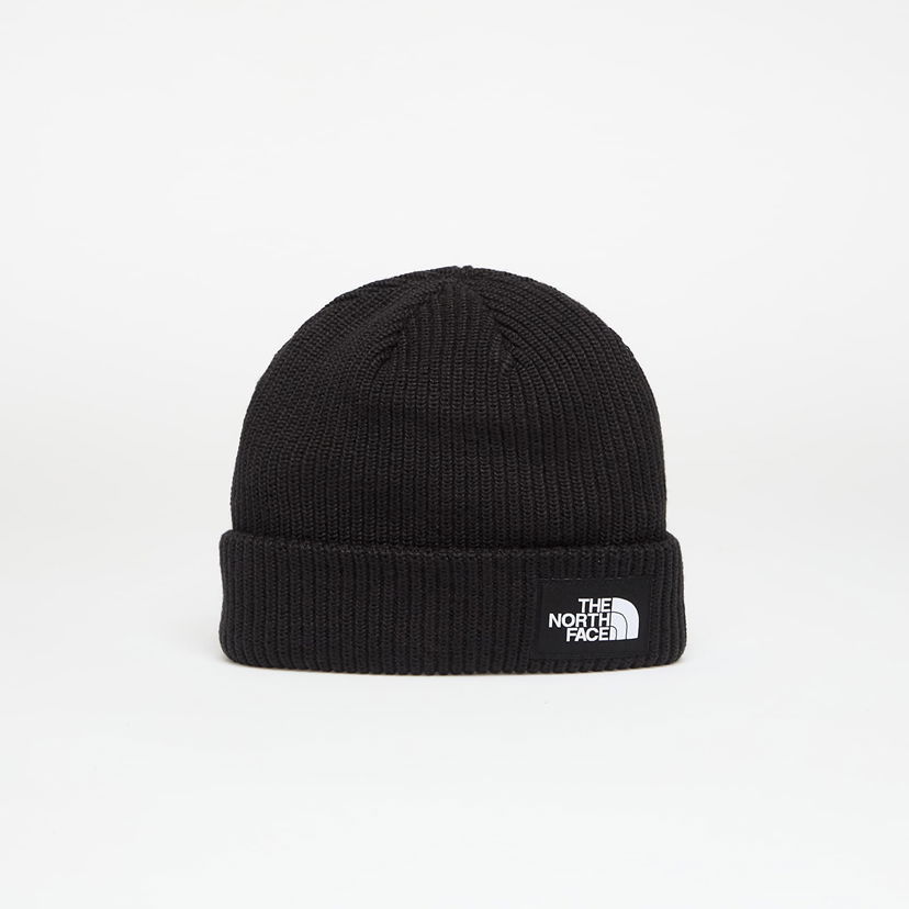 Kapica The North Face The North Face Salty Lined Beanie Crna | NF0A8CGZJK31