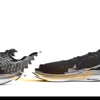 Zoom Pegasus Turbo 2