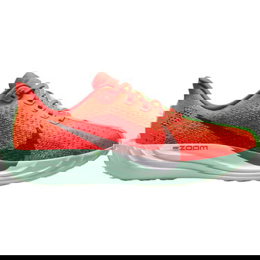 Tenisice i cipele Nike Pegasus Plus Crvena | FQ7261, 0