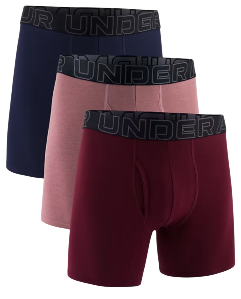 Bokserice Under Armour Under Armour SOLID 6in 3 Pack Boxer Shorts Višebojno | 1383889-651