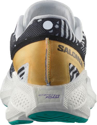 Tenisice i cipele Salomon AERO GLIDE 3 PROTO PACK Višebojno | l47759900, 2