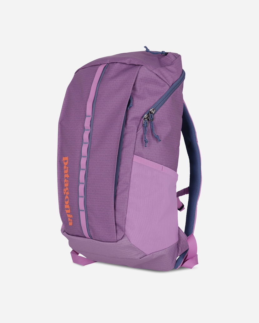 Ruksak Patagonia Black Hole Pack 25L Ljubičasta | 49298 BKPL