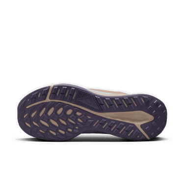 Tenisice i cipele Nike Juniper Trail 2 GORE-TEX Smeđa | FB2065-101, 2