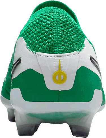 Tenisice i cipele Nike LEGEND 10 ELITE FG LV8 Zelena | hj7272-300, 4