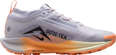 Tenisice i cipele Nike Pegasus Trail 5 GORE-TEX Višebojno | fq0912-011, 3